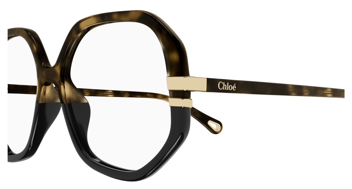 Chloé CH0107O Havana, 54mm 889652453064
