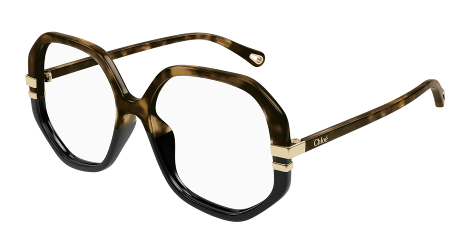 Chloé CH0107O Havana, 54mm 889652453064