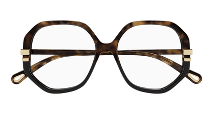 Chloé CH0107O Havana, 54mm 889652453064