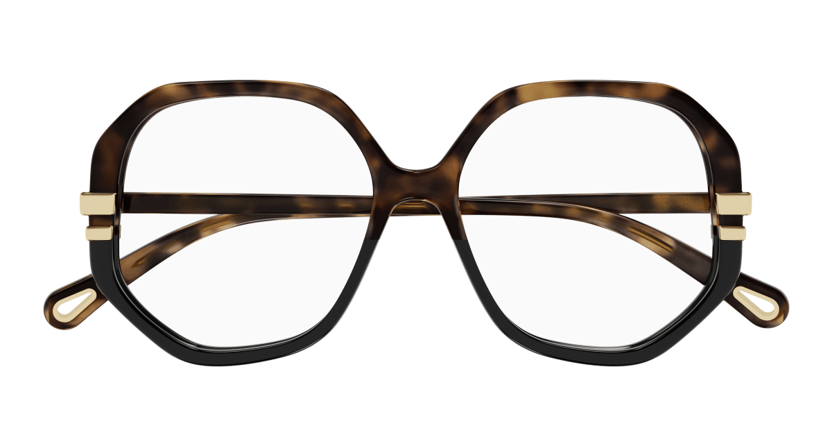 Chloé CH0107O Havana, 54mm 889652453064