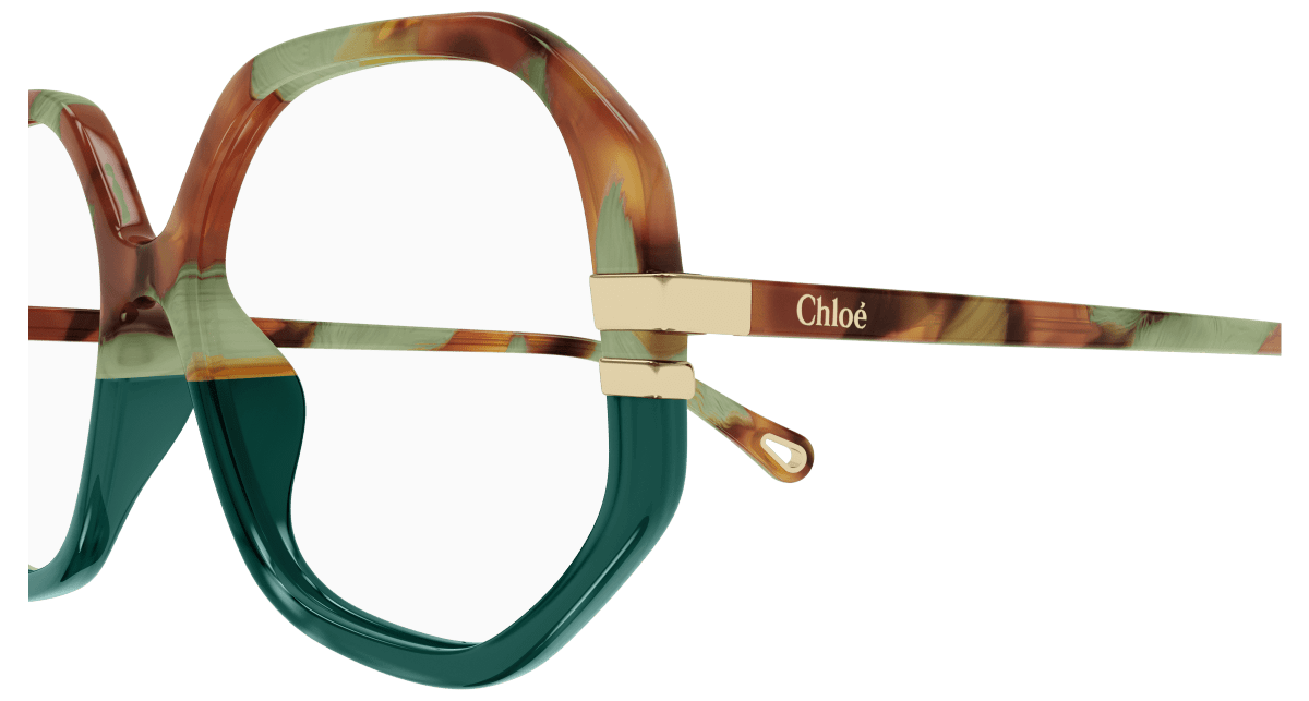 Chloé CH0107O Havana, 54mm 889652485720