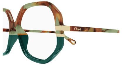 Chloé CH0107O Havana, 54mm 889652485720
