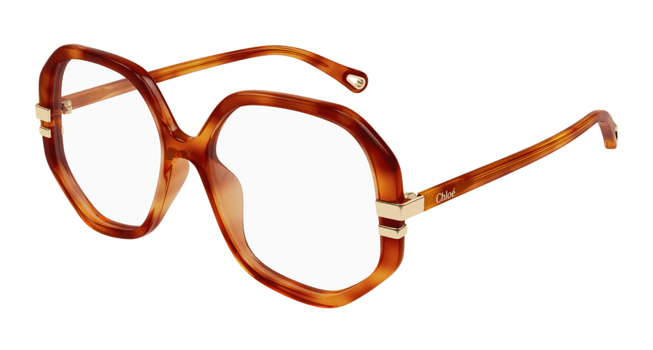 Chloé CH0107O Havana, 54mm 889652602936