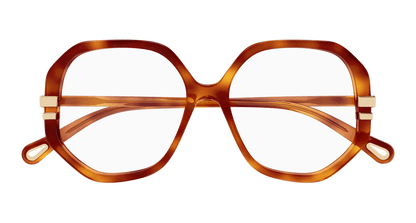Chloé CH0107O Havana, 54mm 889652602936