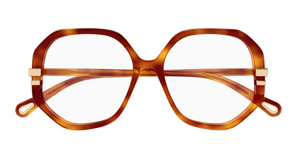 Chloé CH0107O Havana, 54mm 889652602936
