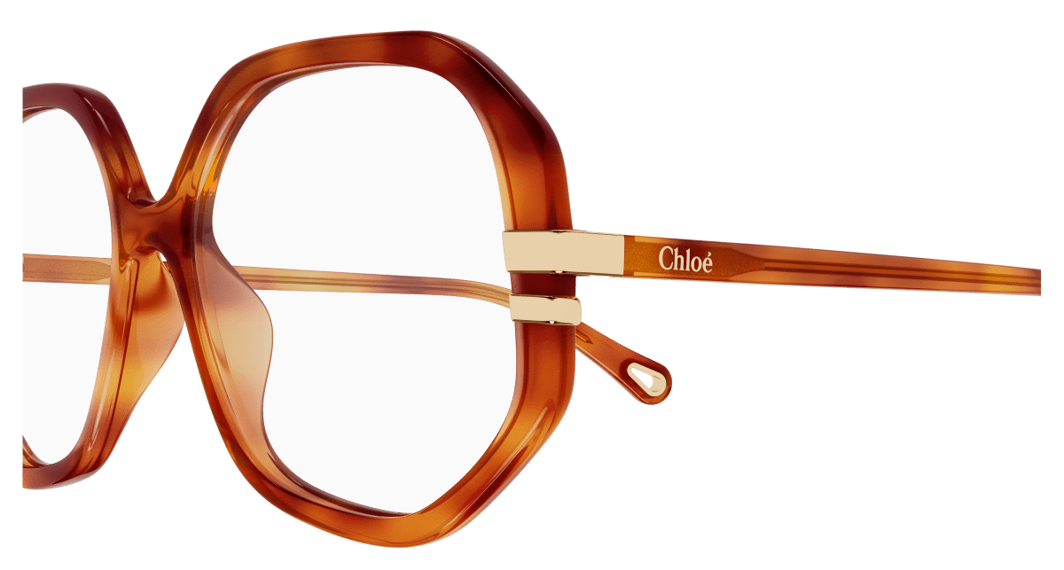 Chloé CH0107O Havana, 54mm 889652602936