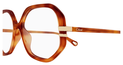 Chloé CH0107O Havana, 54mm 889652602936