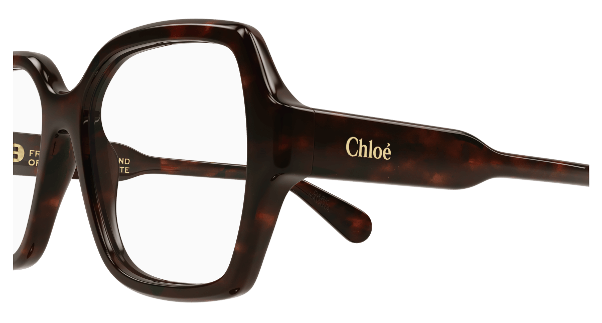 Chloé CH0155O Havana 889652422695