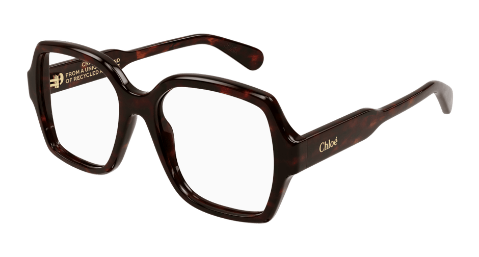 Chloé CH0155O Havana 889652422695