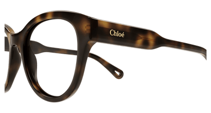 Chloé CH0163O Havana 889652423104
