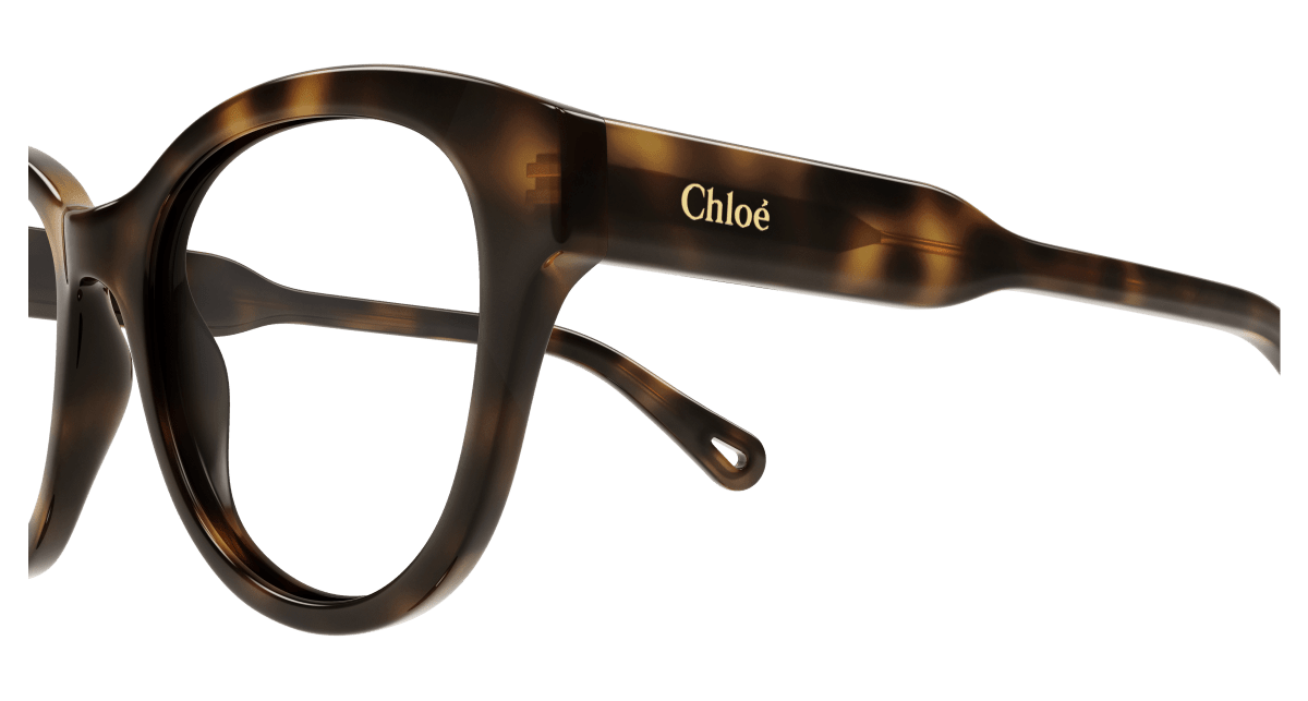 Chloé CH0163O Havana 889652423104