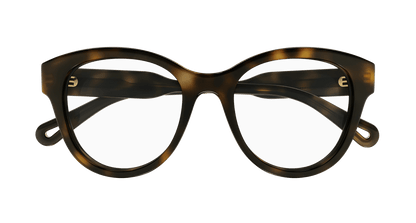 Chloé CH0163O Havana 889652423104