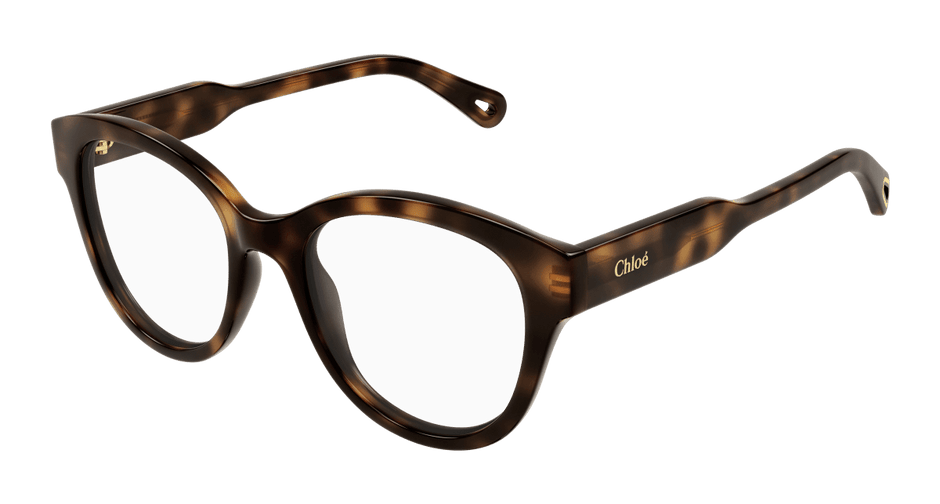 Chloé CH0163O Havana 889652423104