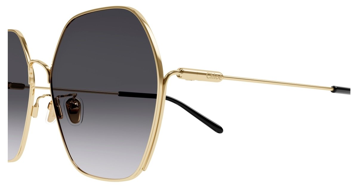 Chloe CH0169SA Sunglasses 889652452470