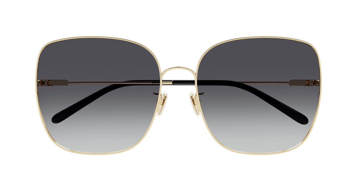 Chloe CH0170SA Sunglasses 889652452494