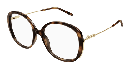Chloé CH0172O Havana 889652423791