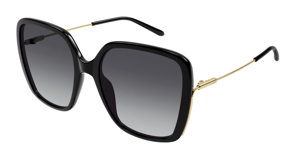Chloé CH0173S Black/Grey 889652423746