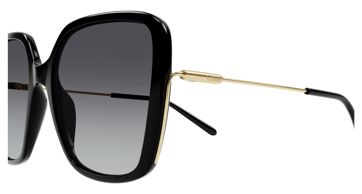 Chloé CH0173S Black/Grey 889652423746