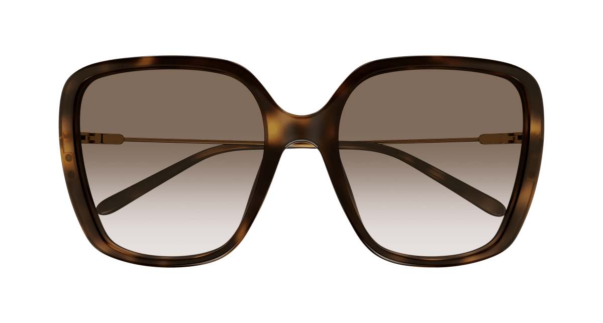 Chloé CH0173S Havana/Brown 889652423753