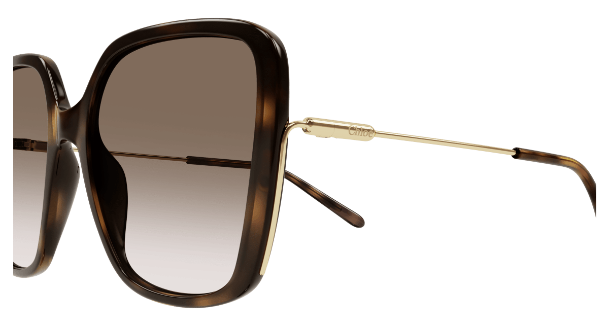Chloé CH0173S Havana/Brown 889652423753