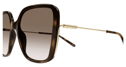 Chloé CH0173S Havana/Brown 889652423753