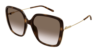 Chloé CH0173S Havana/Brown 889652423753