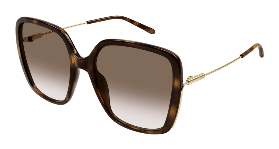 Chloé CH0173S Havana/Brown 889652423753