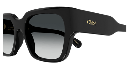 Chloe CH0190S Sunglasses 889652450179