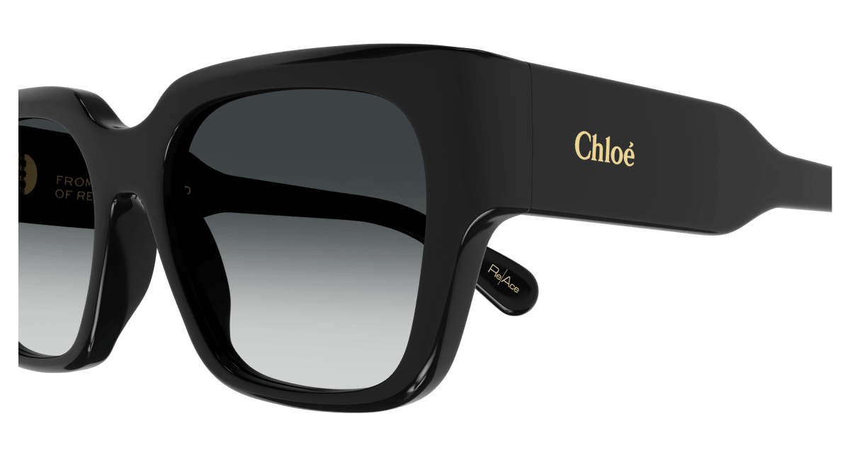 Chloé CH0190S Black/Grey 889652450179