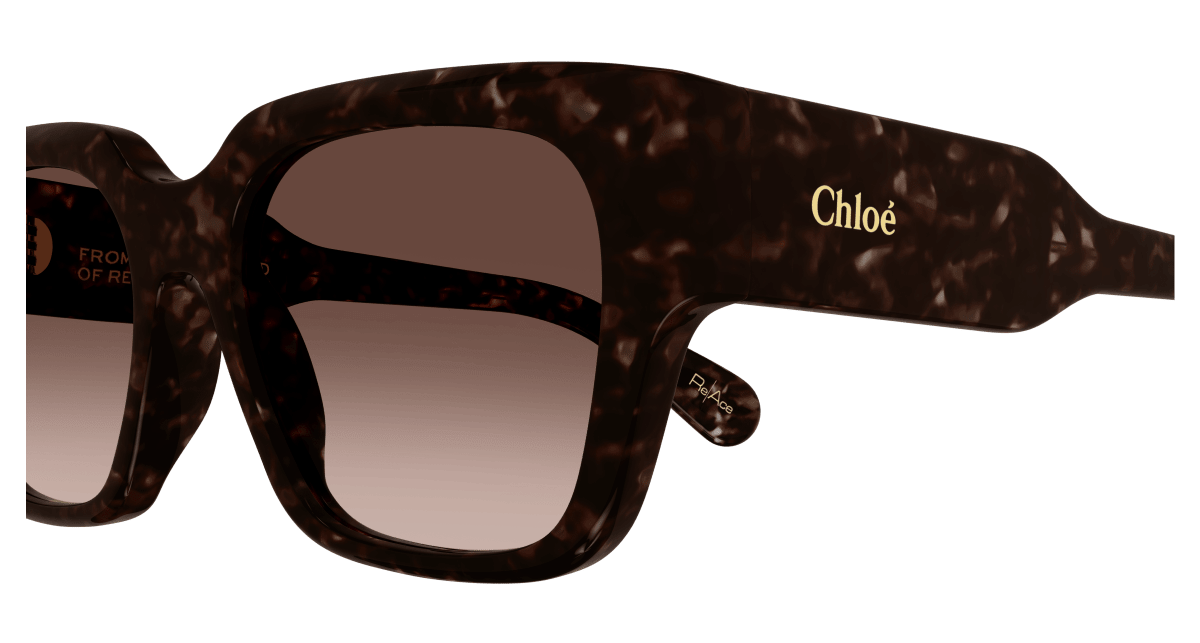 Chloé CH0190S Havana/Copper 889652450186