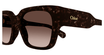 Chloé CH0190S Havana/Copper 889652450186