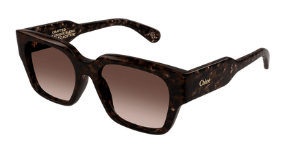 Chloé CH0190S Havana/Copper 889652450186