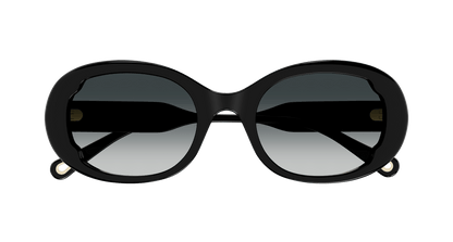 Chloe CH0197SA Sunglasses 889652452555