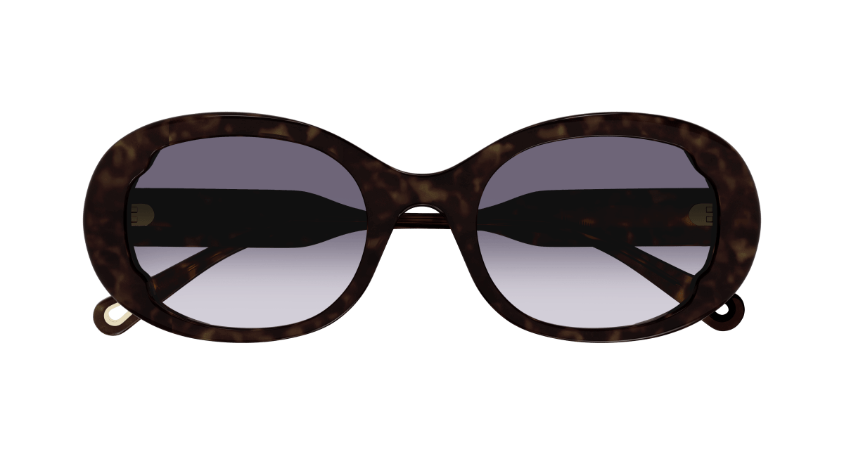 Chloe CH0197SA Sunglasses 889652452562