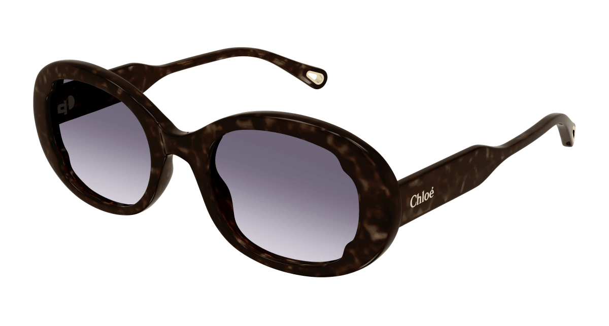 Chloé CH0197SA Havana/Blue 889652452562