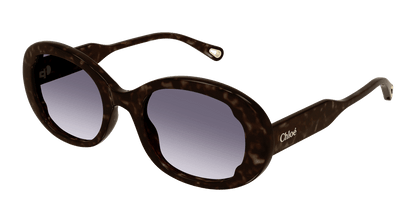 Chloé CH0197SA Havana/Blue 889652452562