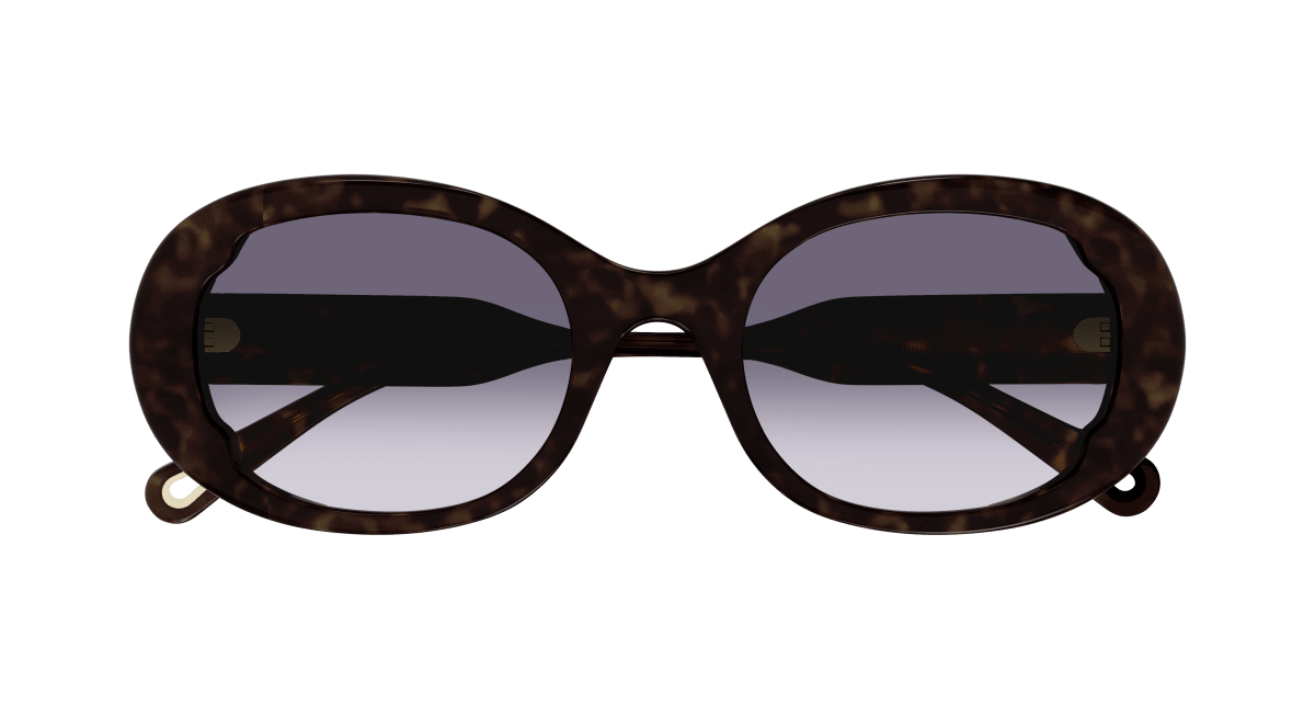 Chloé CH0197SA Havana/Blue 889652452562