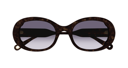 Chloé CH0197SA Havana/Blue 889652452562