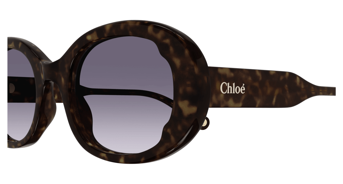 Chloé CH0197SA Havana/Blue 889652452562