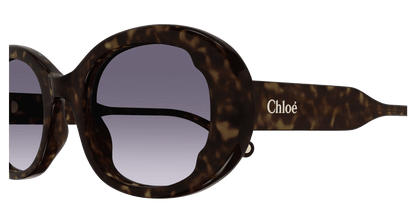 Chloé CH0197SA Havana/Blue 889652452562