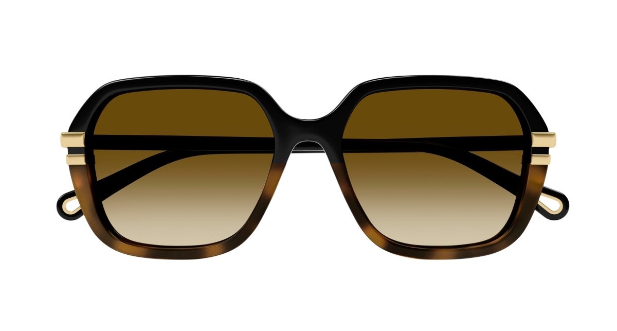 Chloe CH0204S Sunglasses 889652451930