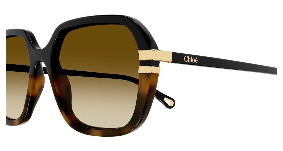 Chloe CH0204S Sunglasses 889652451930