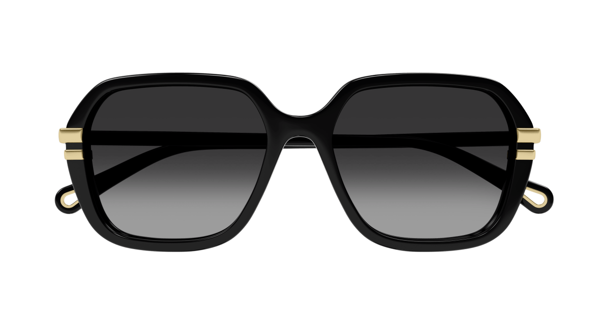 Chloe CH0204S Sunglasses 889652451916