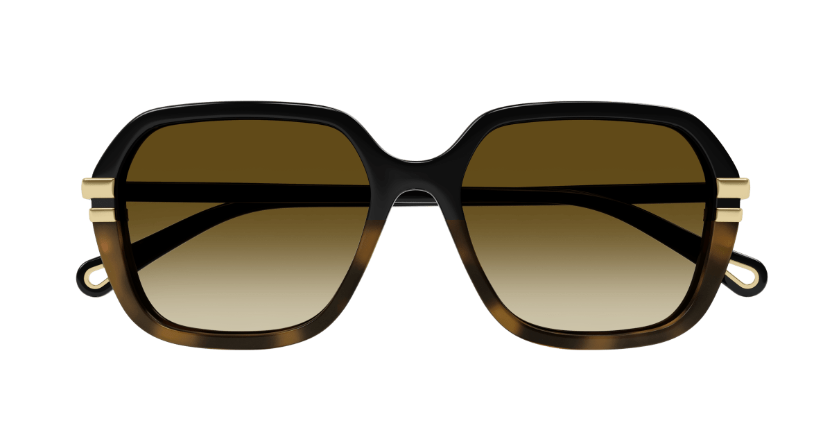Chloé CH0204S Black/Brown 889652451930
