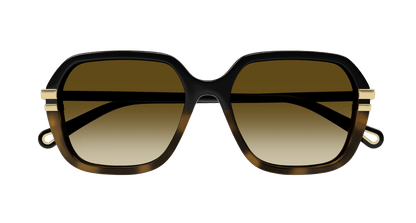 Chloé CH0204S Black/Brown 889652451930