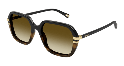 Chloé CH0204S Black/Brown 889652451930