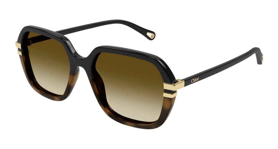 Chloé CH0204S Black/Brown 889652451930
