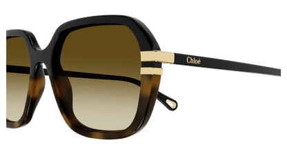 Chloé CH0204S Black/Brown 889652451930