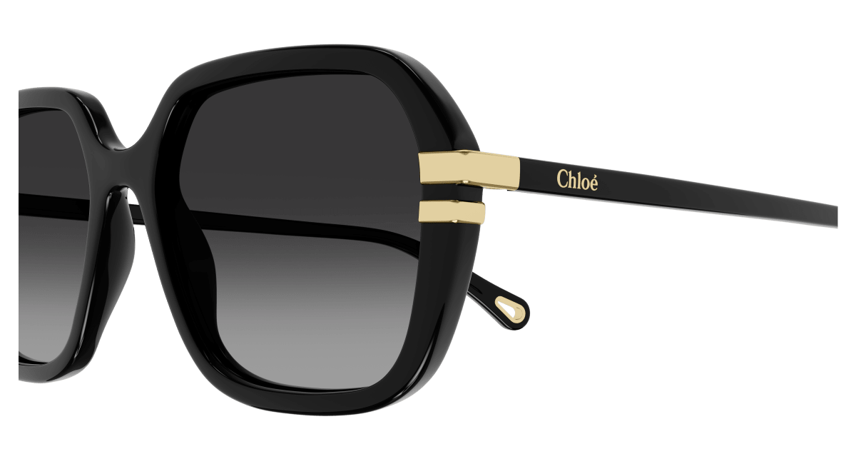 Chloé CH0204S Black/Grey 889652451916
