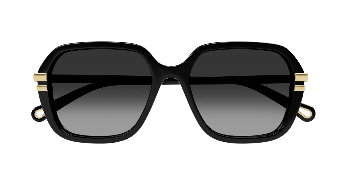 Chloé CH0204S Black/Grey 889652451916